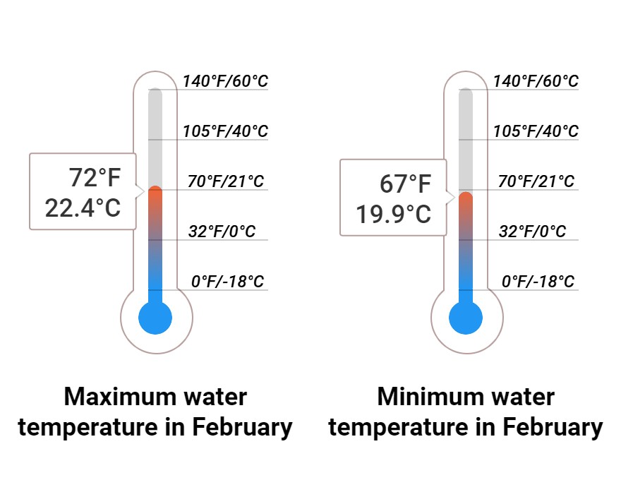Average Sea temperature